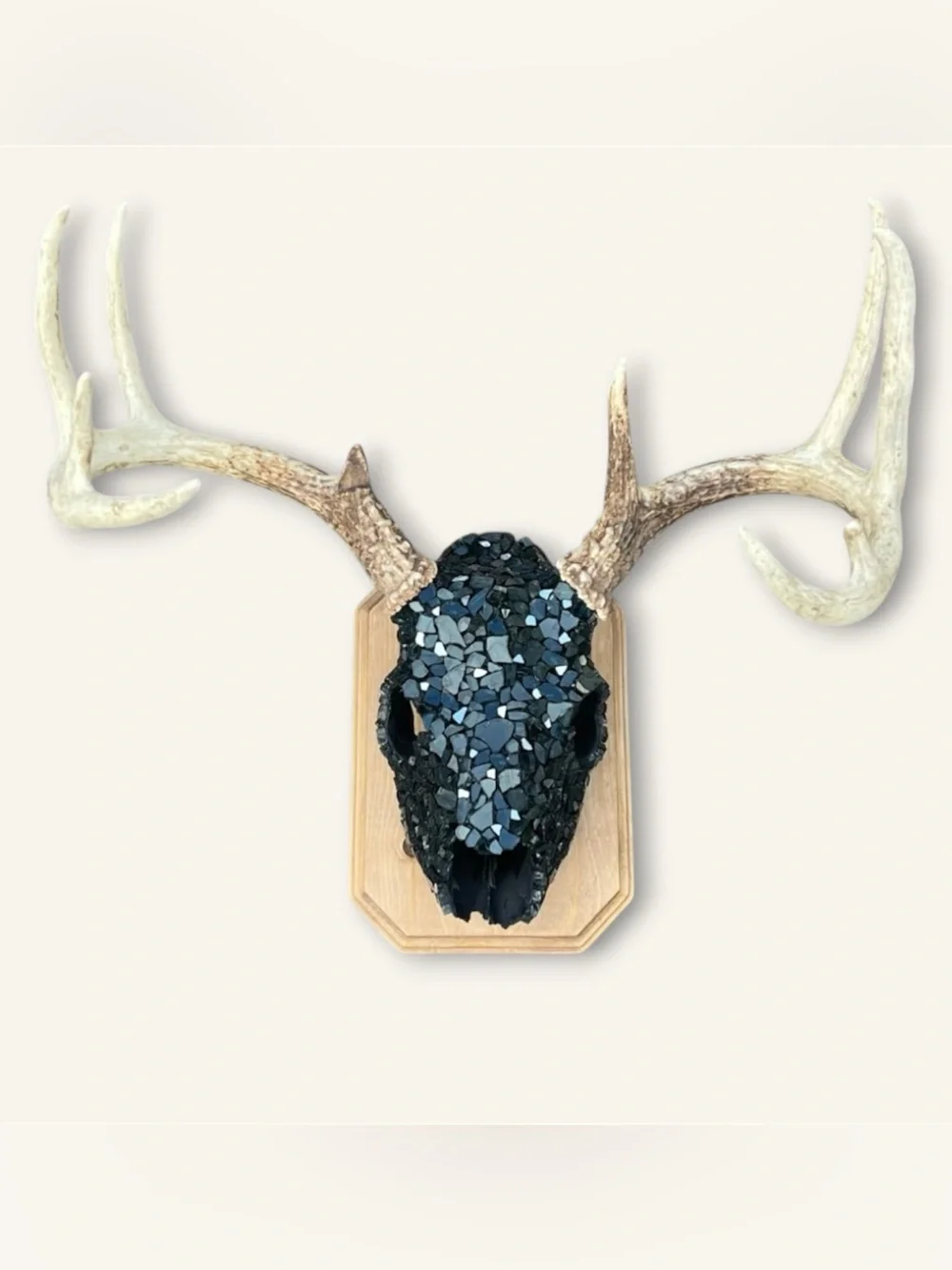 Black Fireglass Bedazzled Deer Skull Wall Art Home Decor Boho taxidermy